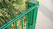 double_panel_cit