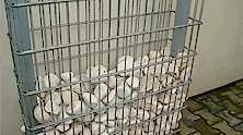 Prefabrik_Tas_Duvar