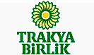 Telçit
