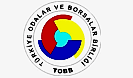Telçit